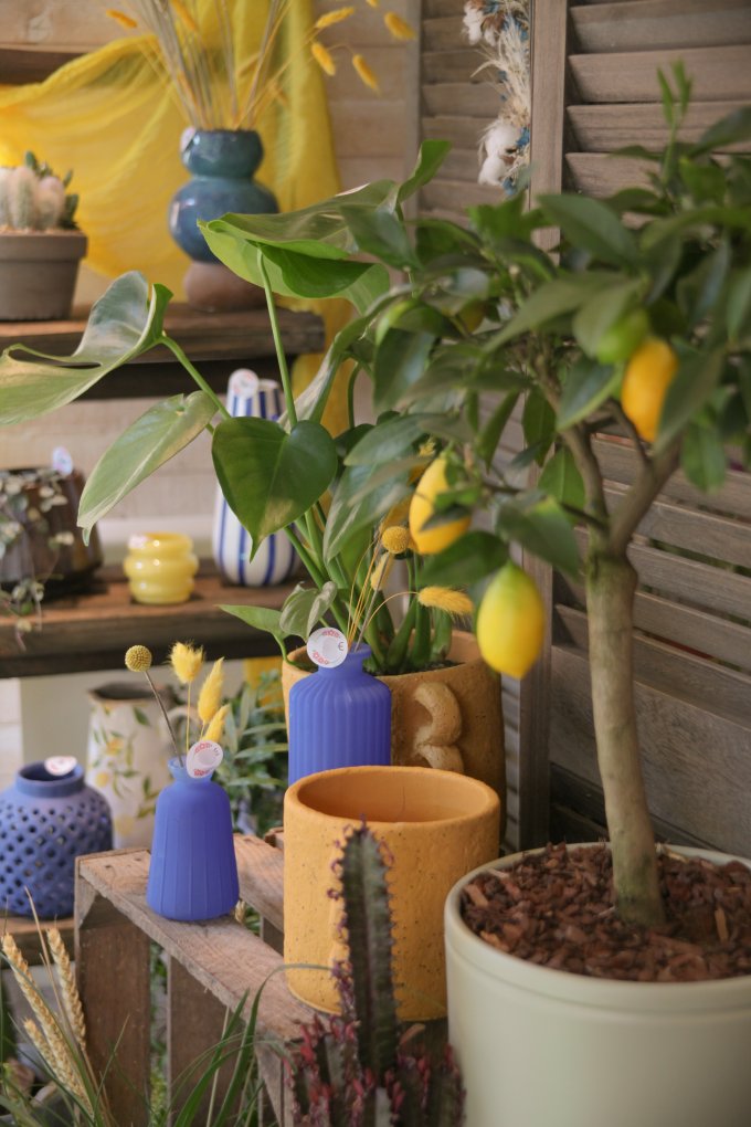 Un Jardin dans ma Ville - Édition 2025 photo 2